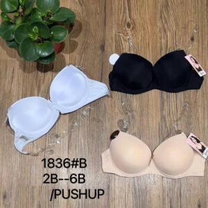 Soutien Gorge 1836