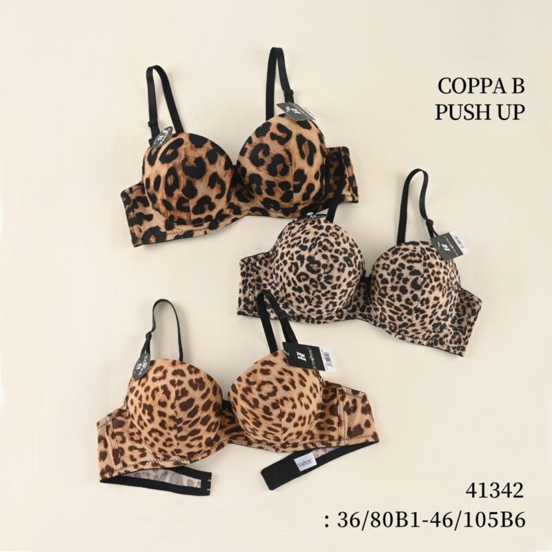 Soutien Gorge 41342